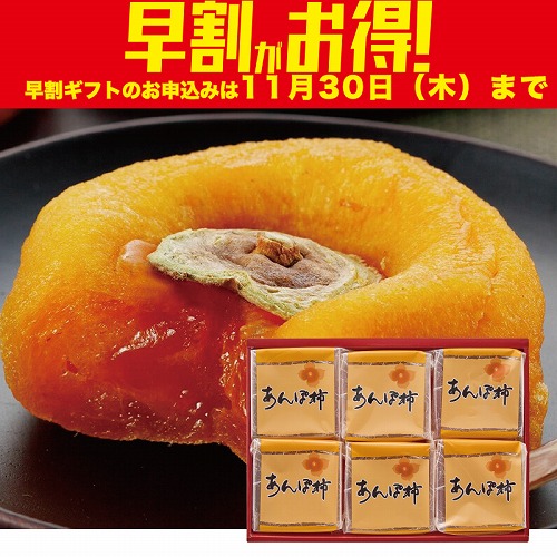 【期間限定・早割】