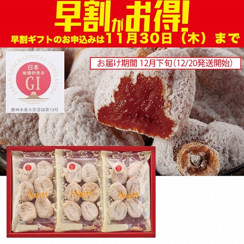 【期間限定・早割】