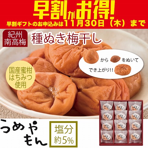 【期間限定・早割】