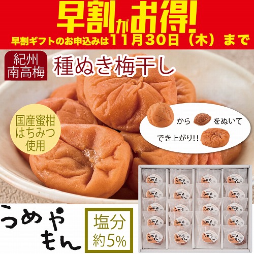 【期間限定・早割】