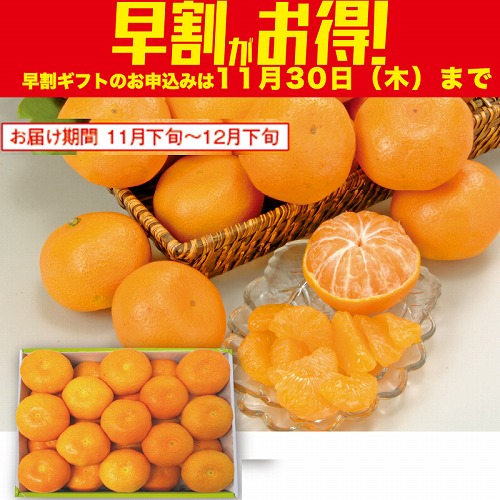 【期間限定・早割】