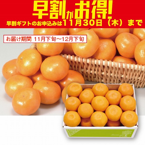 【期間限定・早割】