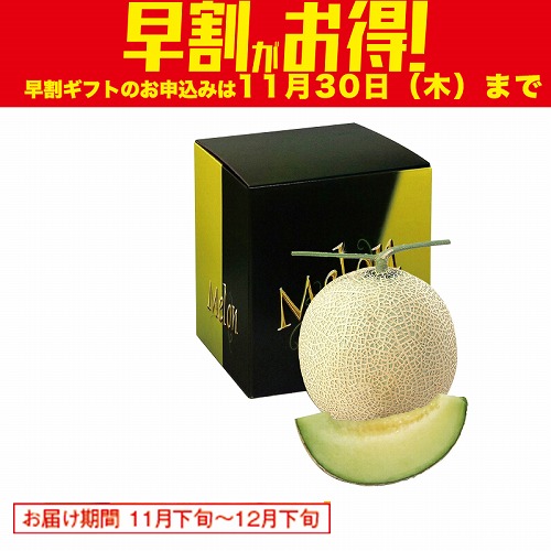 【期間限定・早割】