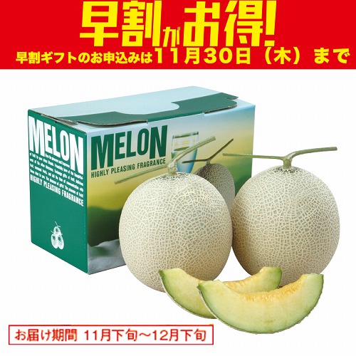 【期間限定・早割】