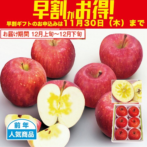 【期間限定・早割】