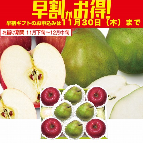 【期間限定・早割】