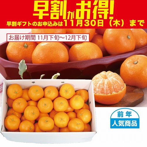 【期間限定・早割】