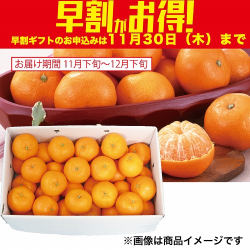 【期間限定・早割】