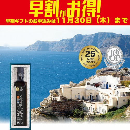 【期間限定・早割】