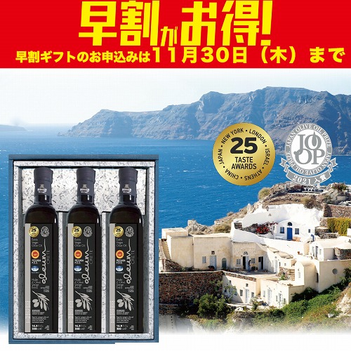 【期間限定・早割】