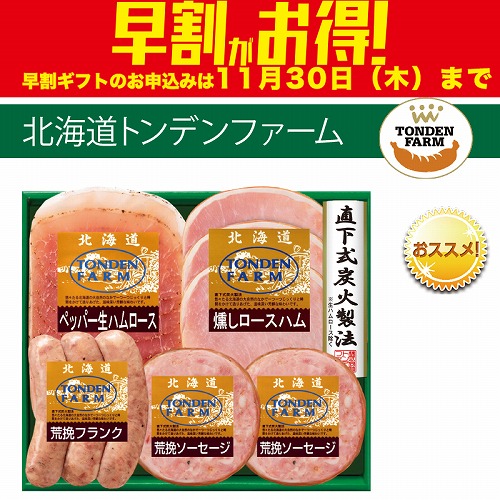 【期間限定・早割】