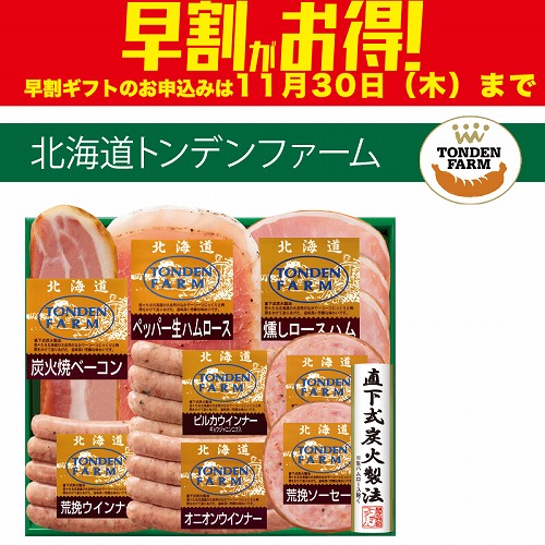 【期間限定・早割】