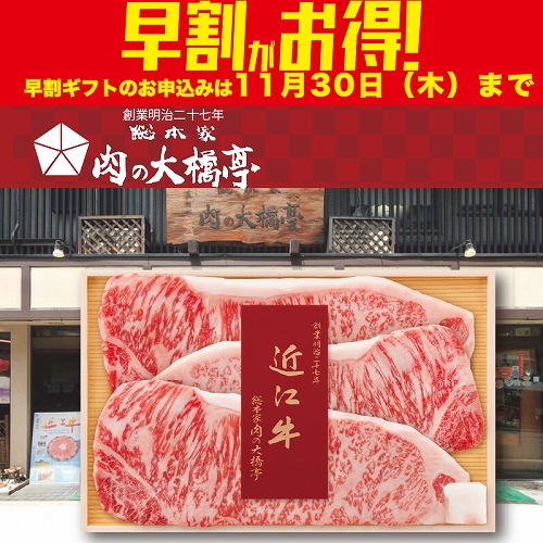 【期間限定・早割】