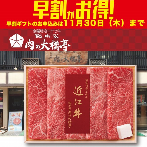 【期間限定・早割】