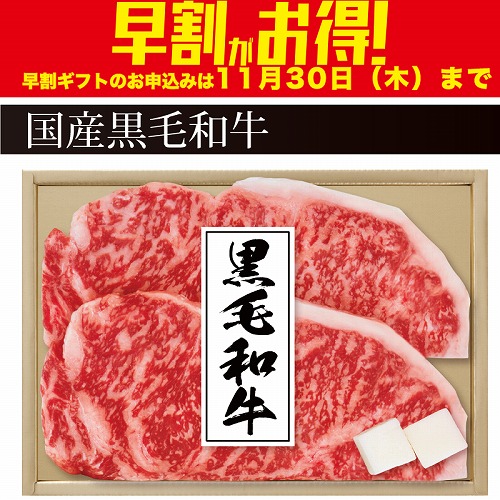 【期間限定・早割】