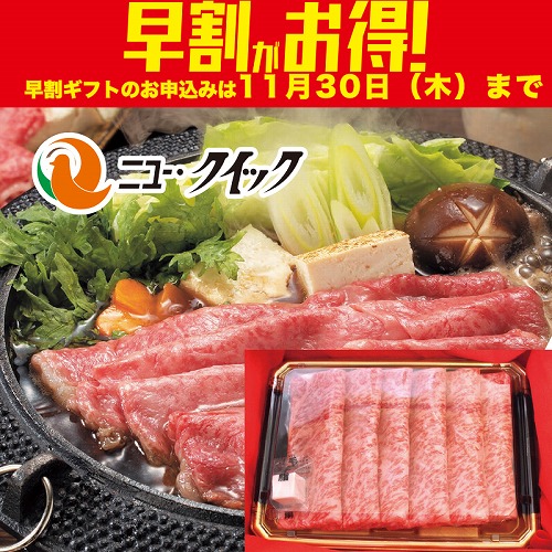 【期間限定・早割】