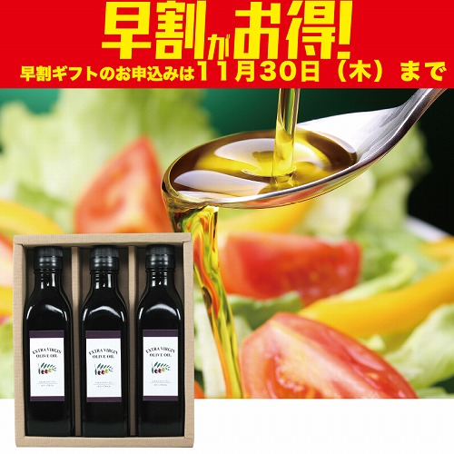 【期間限定・早割】