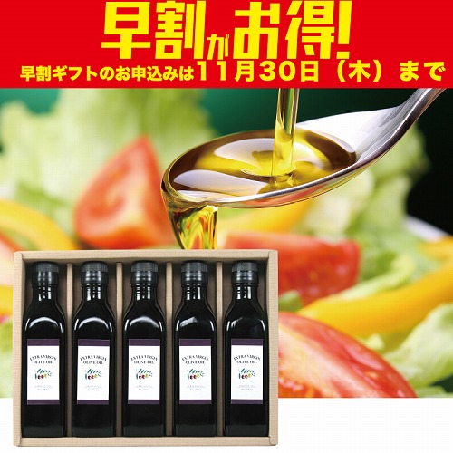 【期間限定・早割】