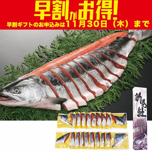 【期間限定・早割】