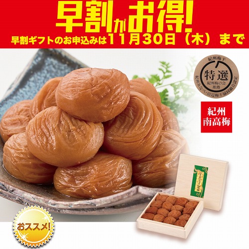 【期間限定・早割】