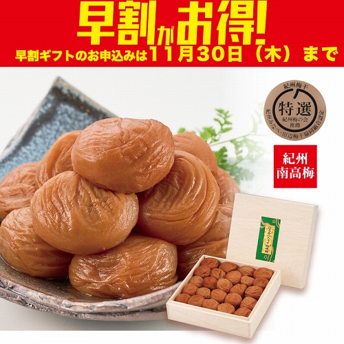 【期間限定・早割】