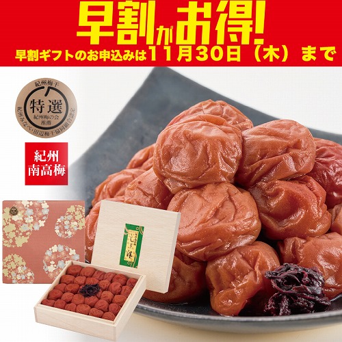 【期間限定・早割】