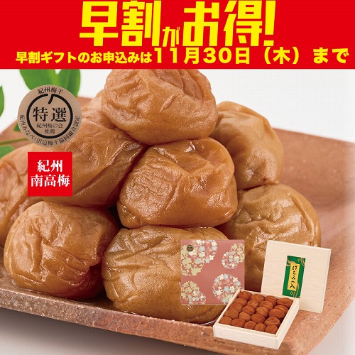 【期間限定・早割】