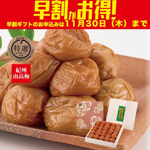 【期間限定・早割】