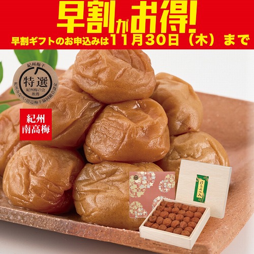 【期間限定・早割】