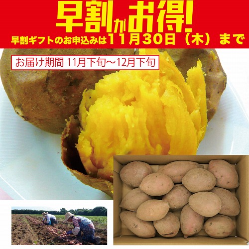 【期間限定・早割】