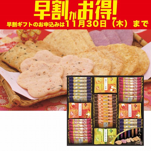 【期間限定・早割】