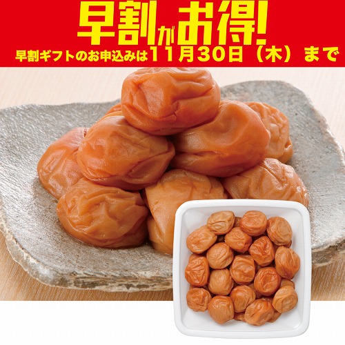 【期間限定・早割】