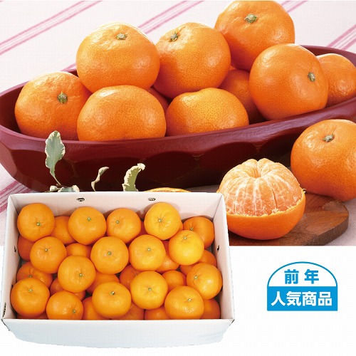 愛媛みかん３ｋｇ