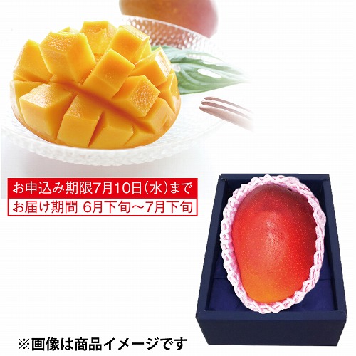国産マンゴー