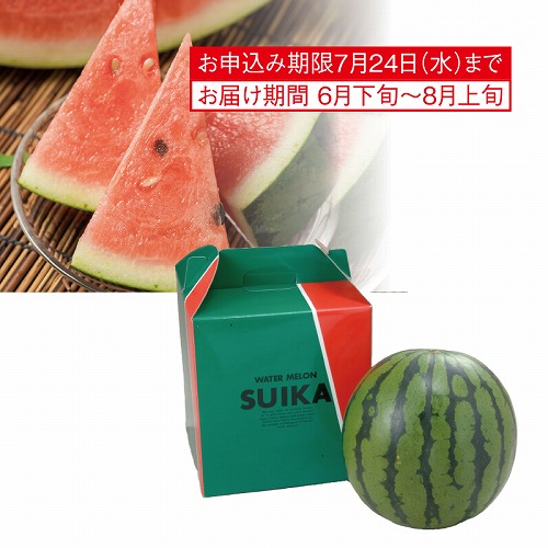 スイカ