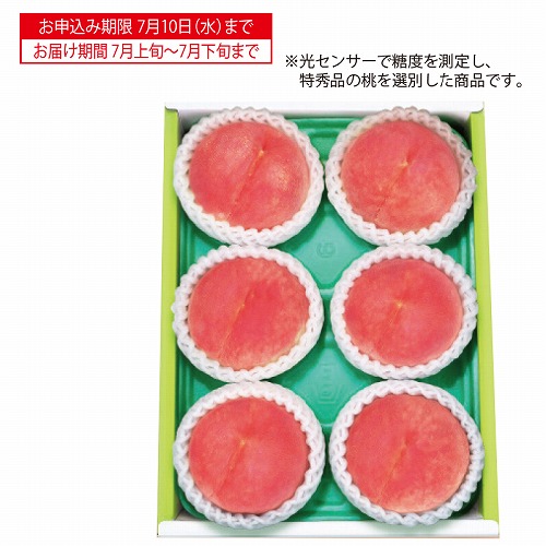 御坂の桃「大糖領」大玉