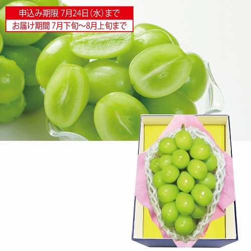 シャインマスカット