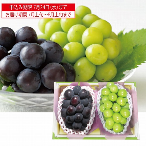 シャインマスカット＆種なし黒ぶどう