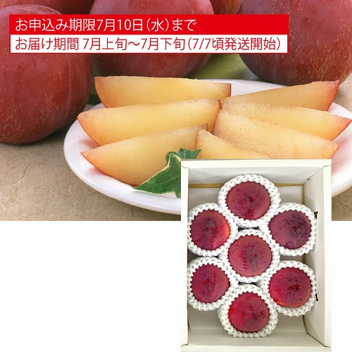 すもも（貴陽）