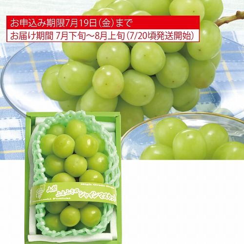 シャインマスカット