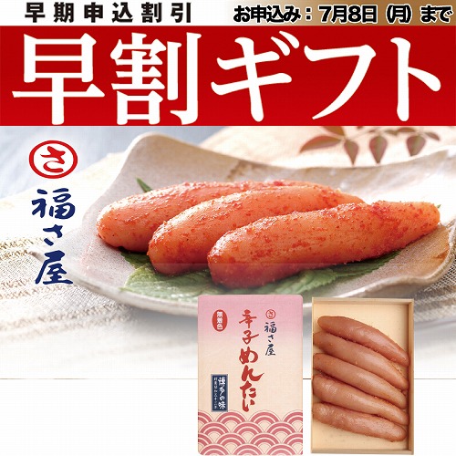 【期間限定・早割】