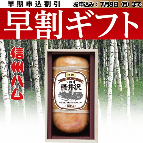 【期間限定・早割】