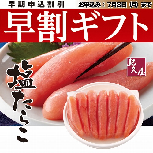 【期間限定・早割】