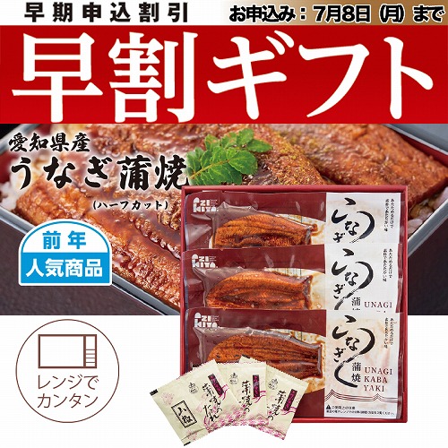 【期間限定・早割】