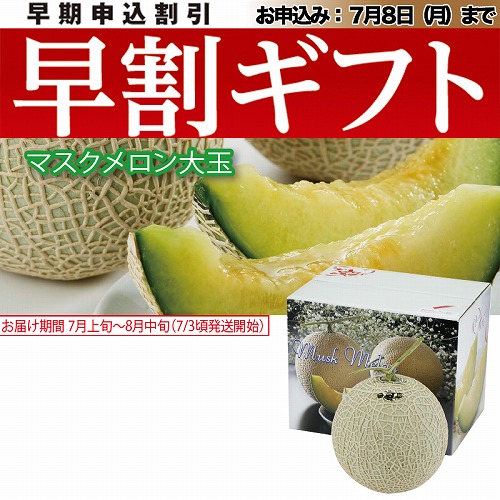 【期間限定・早割】