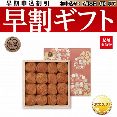 【期間限定・早割】