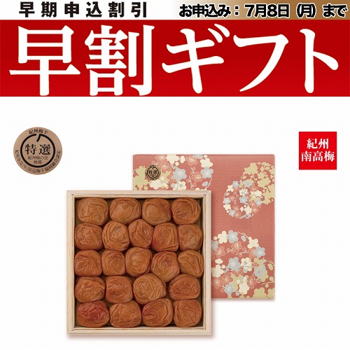 【期間限定・早割】