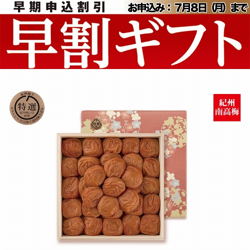 【期間限定・早割】