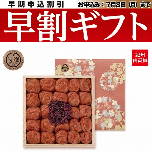 【期間限定・早割】