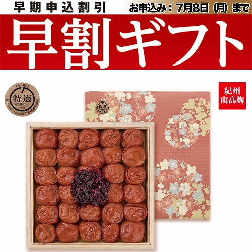 【期間限定・早割】